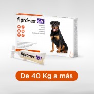 Fipronex® G5 Drop On 40 kg...