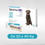 Fipronex® G5 Drop On 20 -...