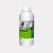 Aminoplex® Forte OS