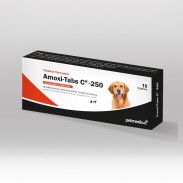 Amoxi-Tabs C®-250